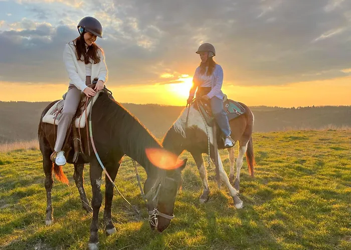 Agriturismo Poggio Leone Gambassi Terme